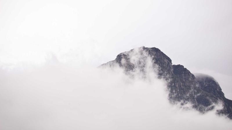 免费看片网站热门剧集成功案例展示